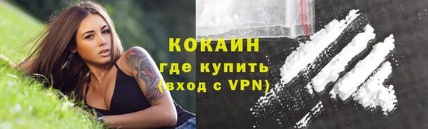 сатива Баксан