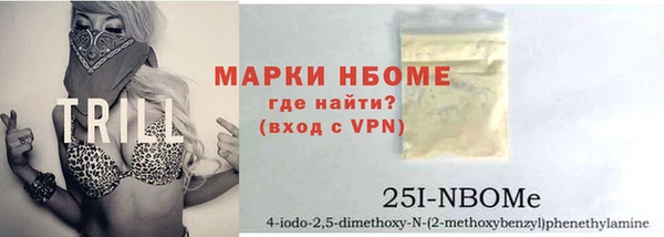 сатива Баксан