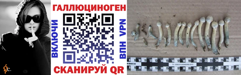 Галлюциногенные грибы GOLDEN TEACHER  где купить наркоту  OMG онион  Пущино 